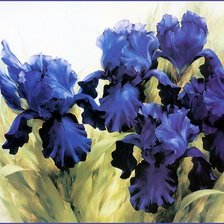 Схема вышивки «ирисы»