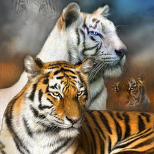 Схема вышивки «тигры»