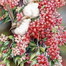 Схема вышивки «Птички»