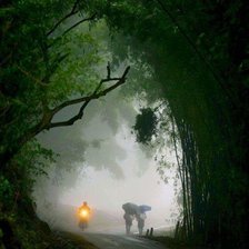 Схема вышивки «№1290346»