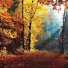 Схема вышивки «Худ. Александр Игнатьев. Осенний лес.»