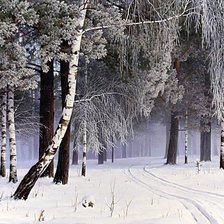 Схема вышивки «Худ. Александр Игнатьев. Зима.»