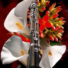 Схема вышивки «кларнет с лилиями»