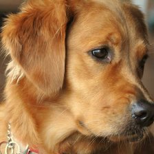 Схема вышивки «474»