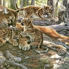 Схема вышивки «1»