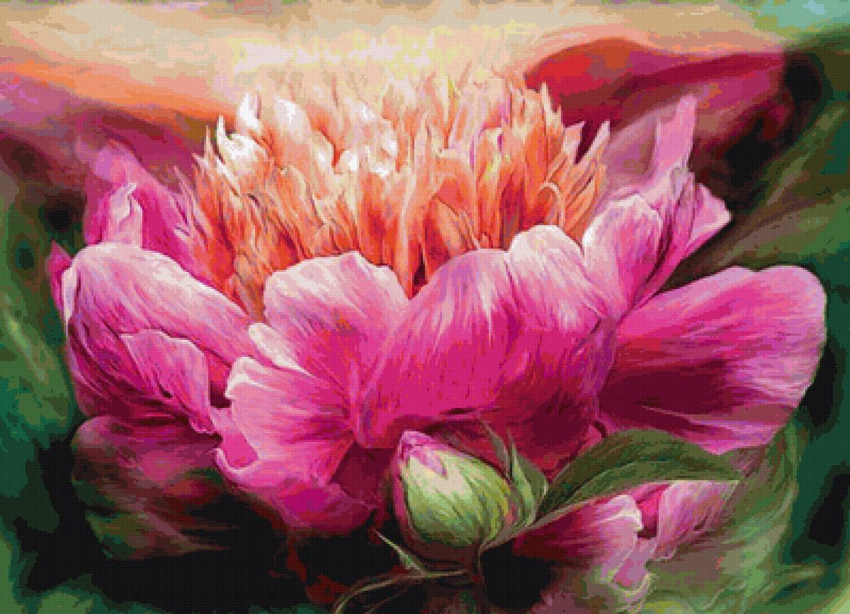 пион - предпросмотр