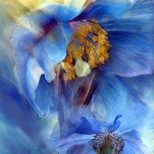 Схема вышивки «голубые цветы»