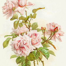 Схема вышивки «Paul De Longpre»