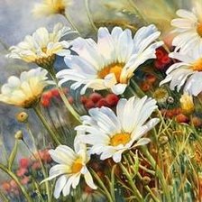 Схема вышивки «полевые ромашки»