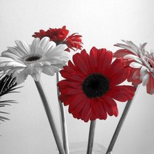 Схема вышивки «цветы»