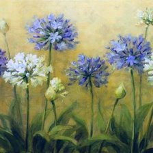 Схема вышивки «Цветы.  Danhui Nai»