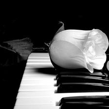 Схема вышивки «№1292528»