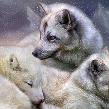 Схема вышивки «белые лисицы»