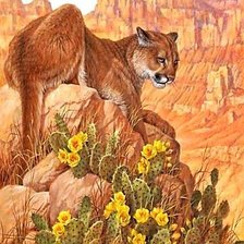 Схема вышивки «пустынная кошка»