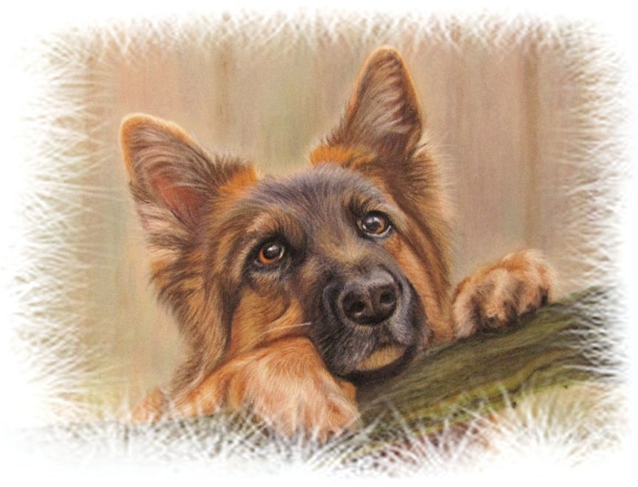 2 - оригинал