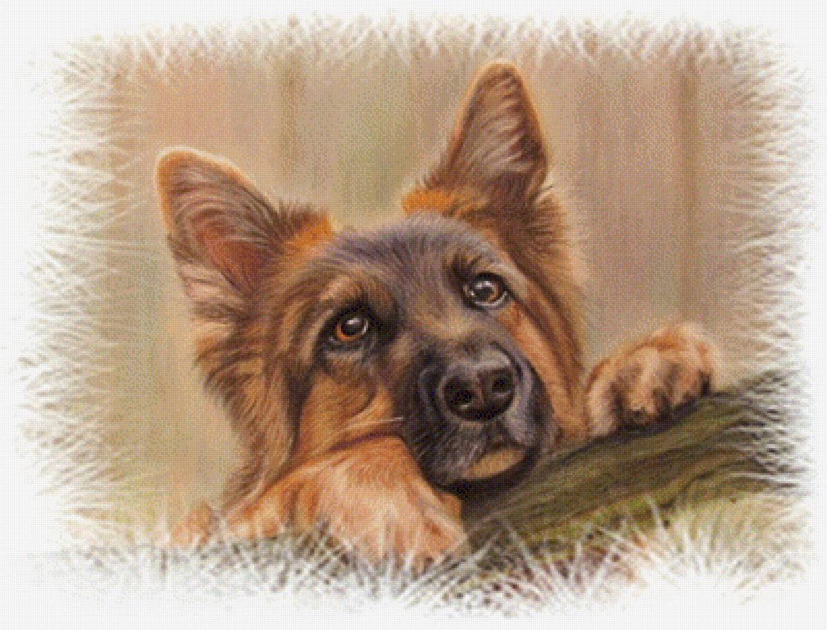 2 - предпросмотр