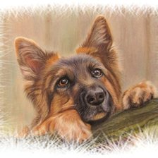 Схема вышивки «2»