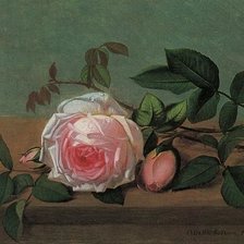 Схема вышивки «роза»