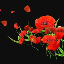 Схема вышивки «Маки»