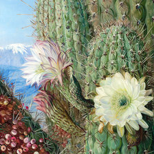 Схема вышивки «кактус»