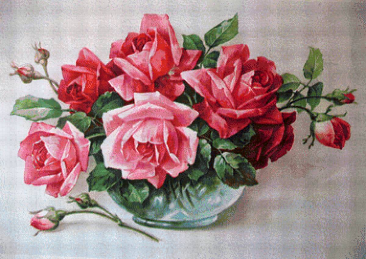 ružové ruže - предпросмотр