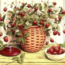 Схема вышивки «№1293588»