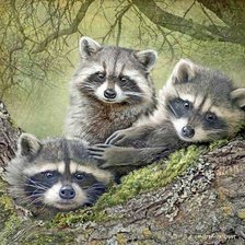 Схема вышивки «21»