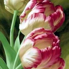 Схема вышивки «Тюльпаны»