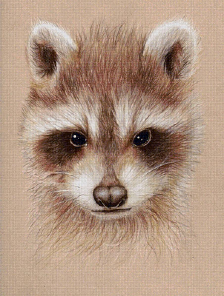 енот сепия - предпросмотр