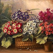 Схема вышивки «худ. Camilla Cobl-Wahl.Натюрморт.»