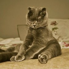 Схема вышивки «перезагрузка)»