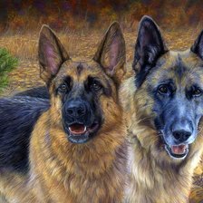 Схема вышивки «овчарки»