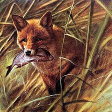 Схема вышивки «худ. Пит Поортвлит. Лиса с уловом.»