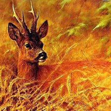 Худ. Пит Поортвлит. Молодой олень.