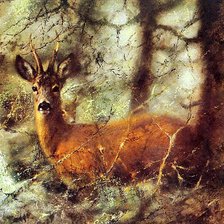 Схема вышивки «Худ. Пит Поортвлит. Олень.»