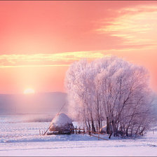 Схема вышивки «№1295891»