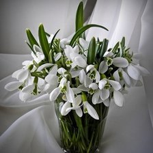 Схема вышивки «№1296156»