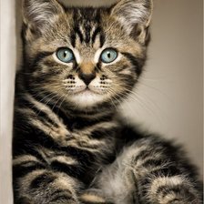 Схема вышивки «№1296200»