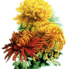 Схема вышивки «№1296206»