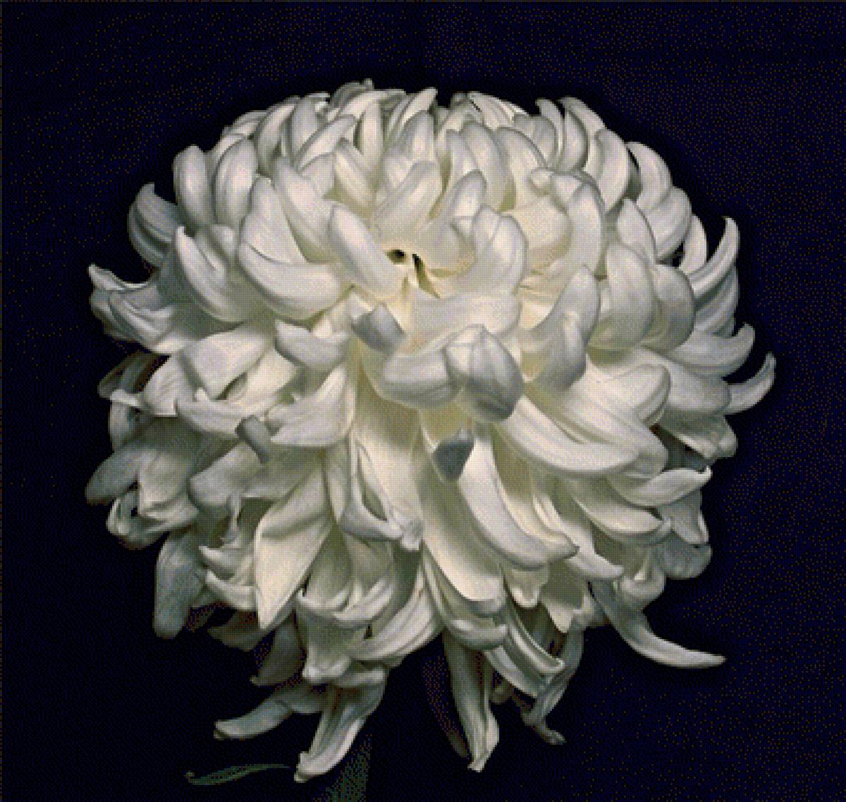 №1296213 - предпросмотр