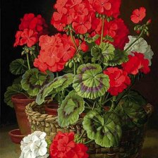 Схема вышивки «№1296238»