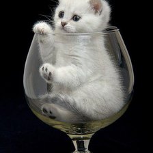 Схема вышивки «№1296239»