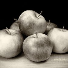 Схема вышивки «№1296339»