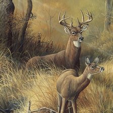 Схема вышивки «№1296844»