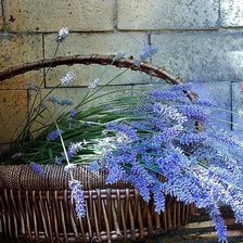 Схема вышивки «Лаванда.»