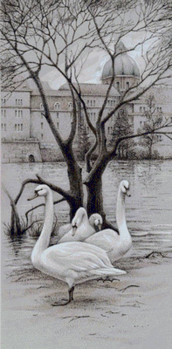 №1296955 - предпросмотр