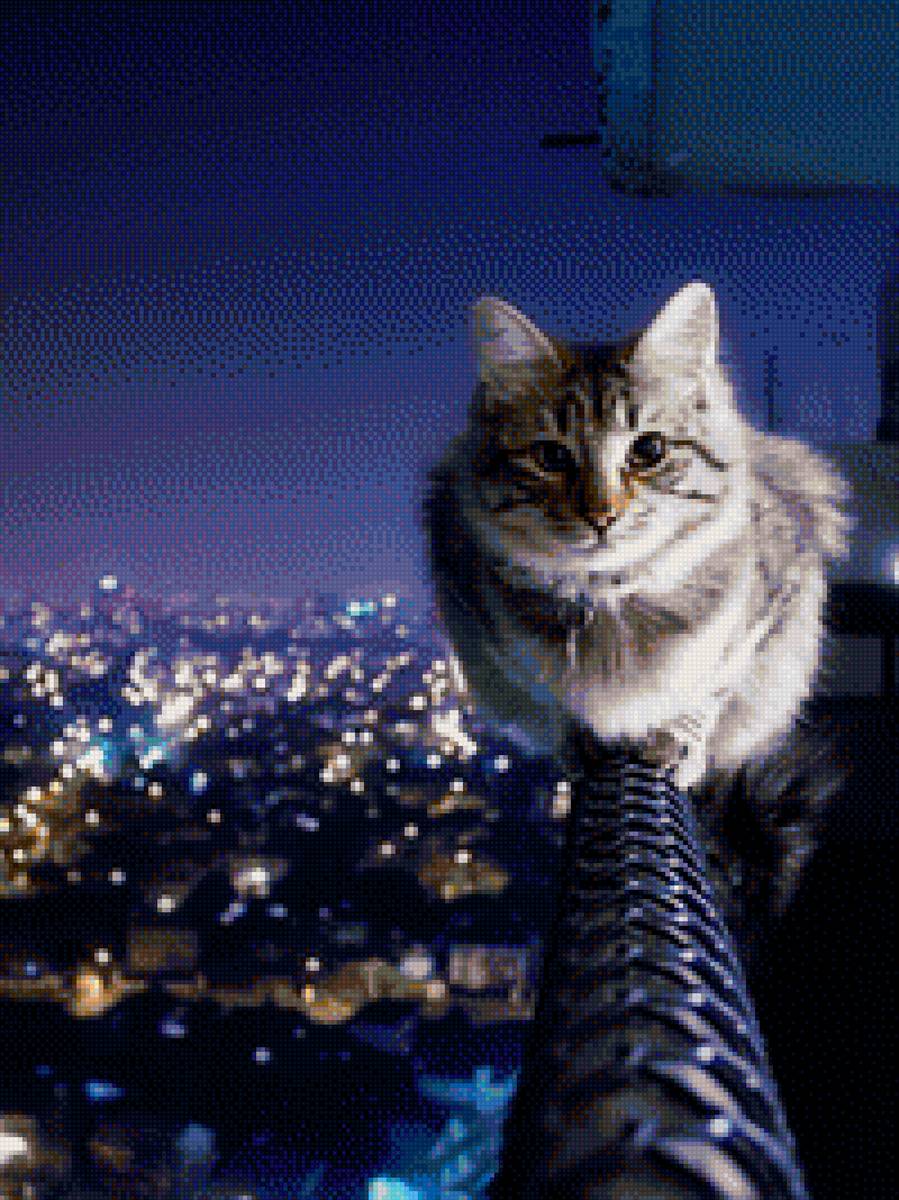 Киса - предпросмотр