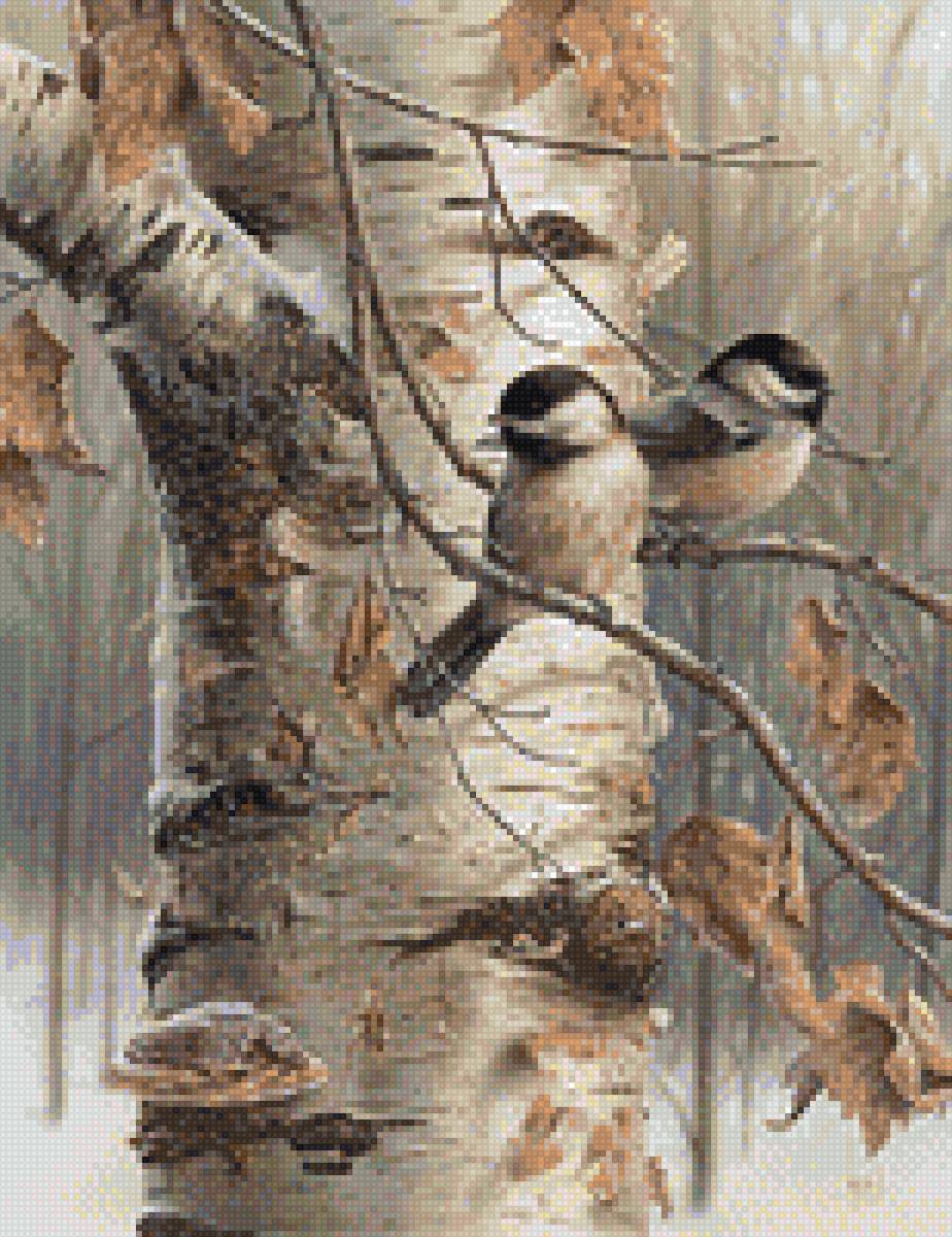 Синицы на березе - синицы, птицы - предпросмотр