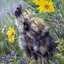 волчата в серых тонах