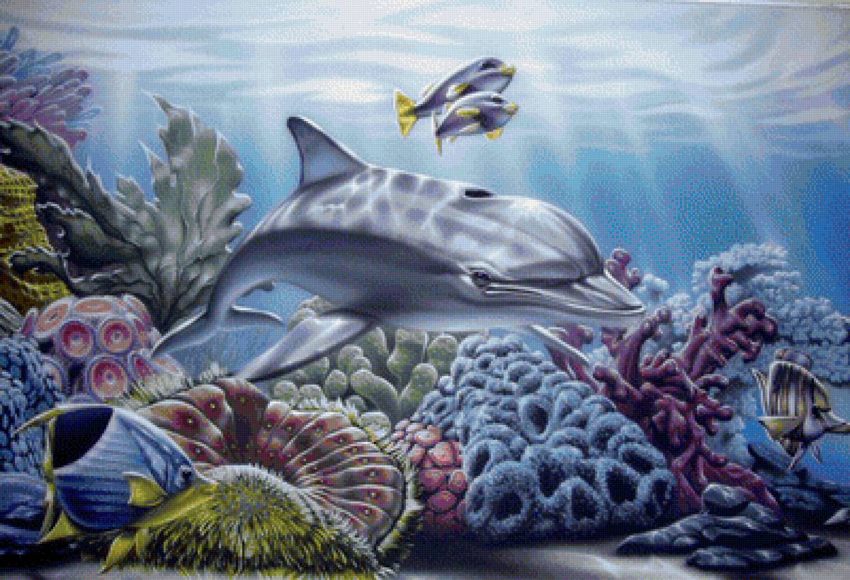 подводный мир - предпросмотр